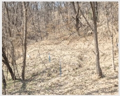  2025Ÿ41557  ȼ ׸ ɱ 23-1      ()