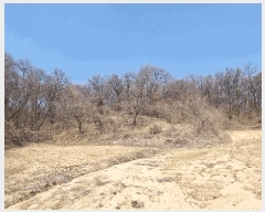  2025Ÿ41557  ȼ ׸ ɱ 23-1      ()