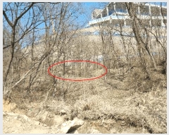  2025Ÿ41557  ȼ ׸ ɱ 23-1      ()