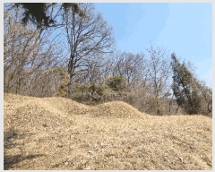  2025Ÿ41557  ȼ ׸ ɱ 23-1      ()