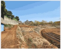  2025Ÿ41639  ý ź  656      (1)