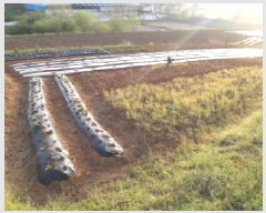  2025Ÿ41639  ý ź  656      (1)