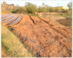  2025Ÿ41639  ý ź  656      (1)