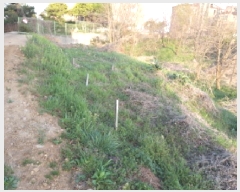  2025Ÿ41639  ý ź  656      (1)