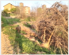  2025Ÿ41639  ý ź  656      (1)