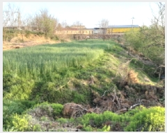  2025Ÿ41639  ý ź  656      (1)