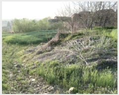  2025Ÿ41639  ý ź  656      (1)