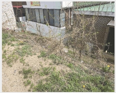  2025Ÿ��41697 ��� ���ý� ������ 597-7       ����(����)���