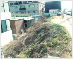  2025Ÿ��41697 ��� ���ý� ������ 597-7       ����(����)���