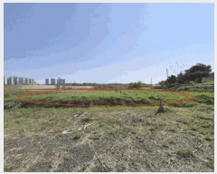  2025Ÿ��41789 ��� ���ý� ������ ������ 487      ����(��1)���