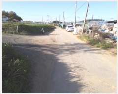  2025Ÿ��41789 ��� ���ý� ������ ������ 487      ����(��1)���