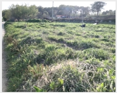  2025Ÿ��41789 ��� ���ý� ������ ������ 487      ����(��1)���