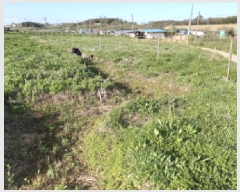  2025Ÿ��41789 ��� ���ý� ������ ������ 487      ����(��1)���