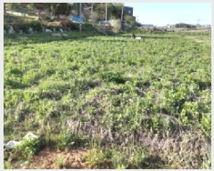  2025Ÿ��41789 ��� ���ý� ������ ������ 487      ����(��1)���