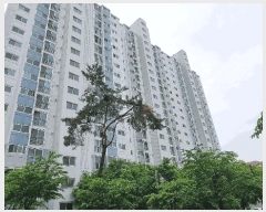  2025Ÿ��41818  ����Ʈ���