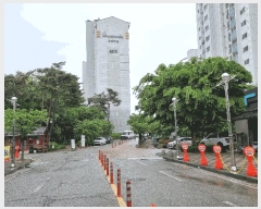  2025Ÿ��41818  ����Ʈ���