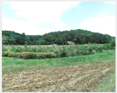  2025Ÿ��41824 ��� �ȼ��� ����� ���ϸ� 79-2      ����(��1)���