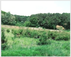  2025Ÿ��41824 ��� �ȼ��� ����� ���ϸ� 79-2      ����(��1)���