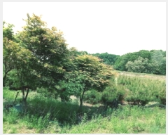  2025Ÿ��41824 ��� �ȼ��� ����� ���ϸ� 79-2      ����(��1)���