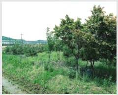  2025Ÿ��41824 ��� �ȼ��� ����� ���ϸ� 79-2      ����(��1)���