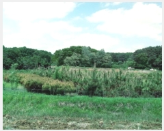  2025Ÿ��41824 ��� �ȼ��� ����� ���ϸ� 79-2      ����(��1)���