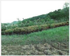  2025Ÿ��41824 ��� �ȼ��� ����� ���ϸ� 79-2      ����(��1)���