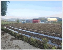  2025Ÿ��41848 ��� �ȼ��� ���׸� ���̸� 235-1      ����(��1)���