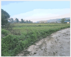  2025Ÿ��41848 ��� �ȼ��� ���׸� ���̸� 235-1      ����(��1)���