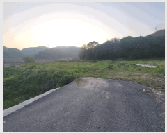  2025Ÿ��41848  ������