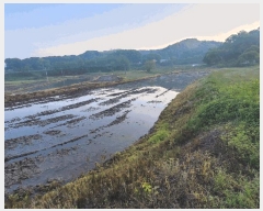  2025Ÿ��41848  ������