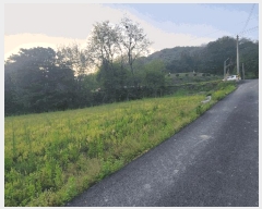  2025Ÿ��41848  ������