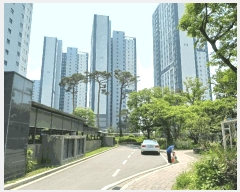  2025Ÿ��41895  ����Ʈ���