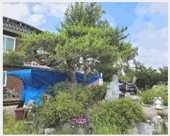  2025Ÿ��41967 ��� �ȼ��� �׻�� �׻긮 170-2      ���ð��