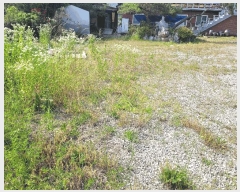  2025Ÿ��41967 ��� �ȼ��� �׻�� �׻긮 170-2      ���ð��