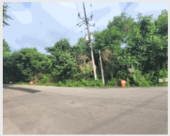  2025Ÿ��41999 ��� ���ý� û���� �Ļ縮 387-2      ����(��1)���