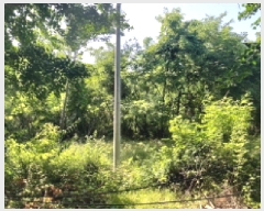  2025Ÿ��41999 ��� ���ý� û���� �Ļ縮 387-2      ����(��1)���