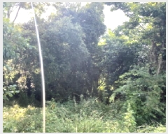  2025Ÿ��41999 ��� ���ý� û���� �Ļ縮 387-2      ����(��1)���