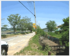  2025Ÿ��42005 ��� ���ý� ������ �뼺�� 530-4      ���ð��