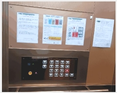  2025Ÿ��42129  ����Ʈ���