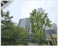  2025Ÿ��42165 ��� ���ý� ������ 2706-1 ���������ŵ��ñ�ȣ��︲ 1106�� 6��604ȣ    ����Ʈ���