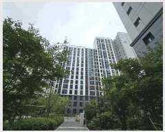  2025Ÿ��42165 ��� ���ý� ������ 2706-1 ���������ŵ��ñ�ȣ��︲ 1106�� 6��604ȣ    ����Ʈ���