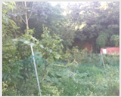  2025Ÿ��42184 ��� �ȼ��� ����� ������ 359-1      ����(��)���