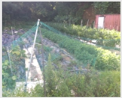  2025Ÿ��42184 ��� �ȼ��� ����� ������ 359-1      ����(��)���