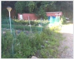  2025Ÿ��42184 ��� �ȼ��� ����� ������ 359-1      ����(��)���