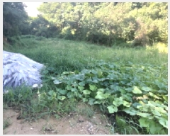  2025Ÿ��42184 ��� �ȼ��� ����� ������ 359-1      ����(��)���