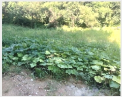  2025Ÿ��42184 ��� �ȼ��� ����� ������ 359-1      ����(��)���