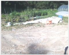  2025Ÿ��42184 ��� �ȼ��� ����� ������ 359-1      ����(��)���