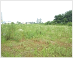  2025Ÿ��42218 ��� ���ý� ������ ���ظ� 358-4      ����(��1)���