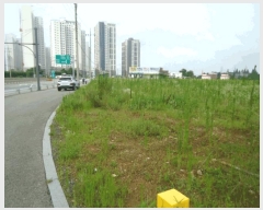  2025Ÿ��42218 ��� ���ý� ������ ���ظ� 358-4      ����(��1)���