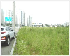  2025Ÿ��42218 ��� ���ý� ������ ���ظ� 358-4      ����(��1)���